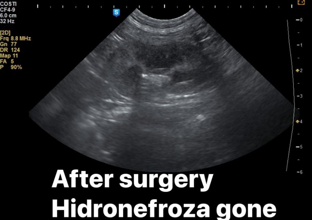 Centru de endoscopie și chirurgie minim invazivă veterinară