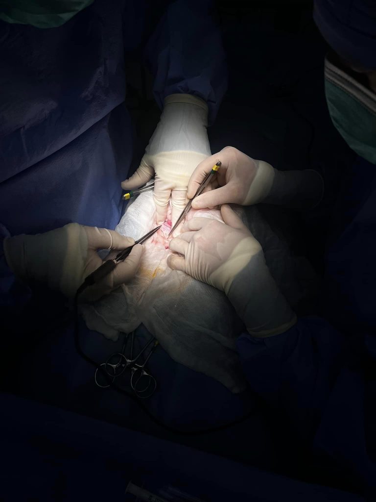 Centru de endoscopie și chirurgie minim invazivă veterinară