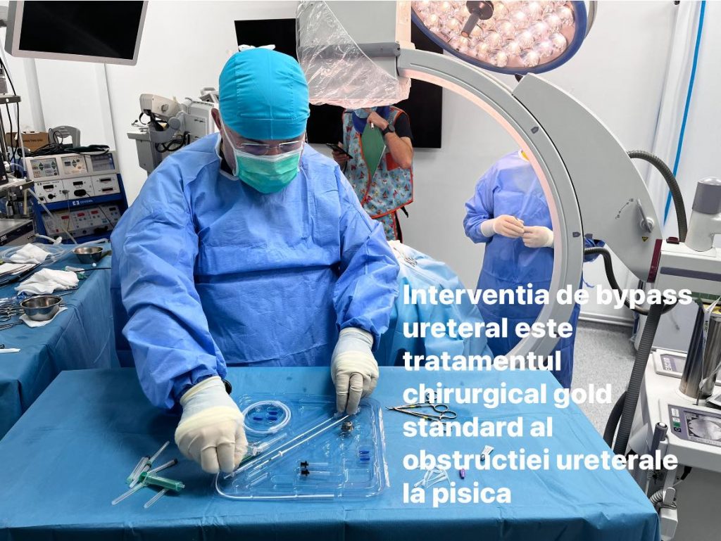 Centru de endoscopie și chirurgie minim invazivă veterinară